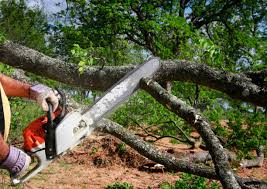  Hermitage, PA Tree Removal and Landscaping Services Pros